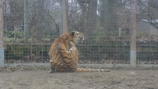 Pet Supply Store «Petco Animal Supplies», reviews and photos, 1700 E College Ave #1, Normal, IL 61761, USA