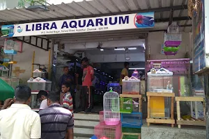 Libra aquarium image