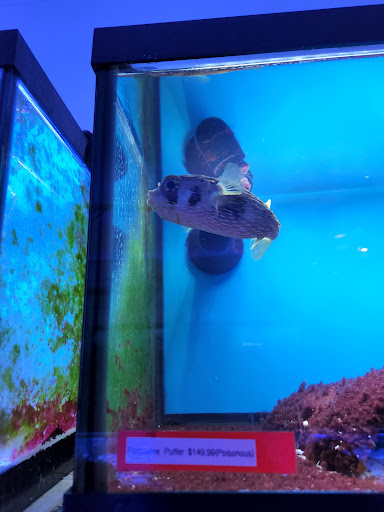 Pet Store «Forest Lake Pets», reviews and photos, 120 Lake St N, Forest Lake, MN 55025, USA