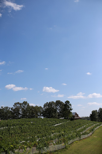 Winery «Overmountain Vineyards», reviews and photos, 2014 Sandy Plains Rd, Tryon, NC 28782, USA