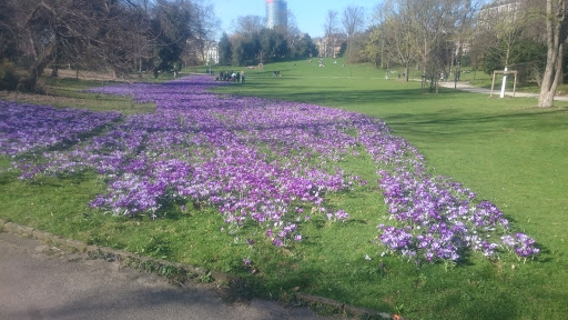 Hofgarten