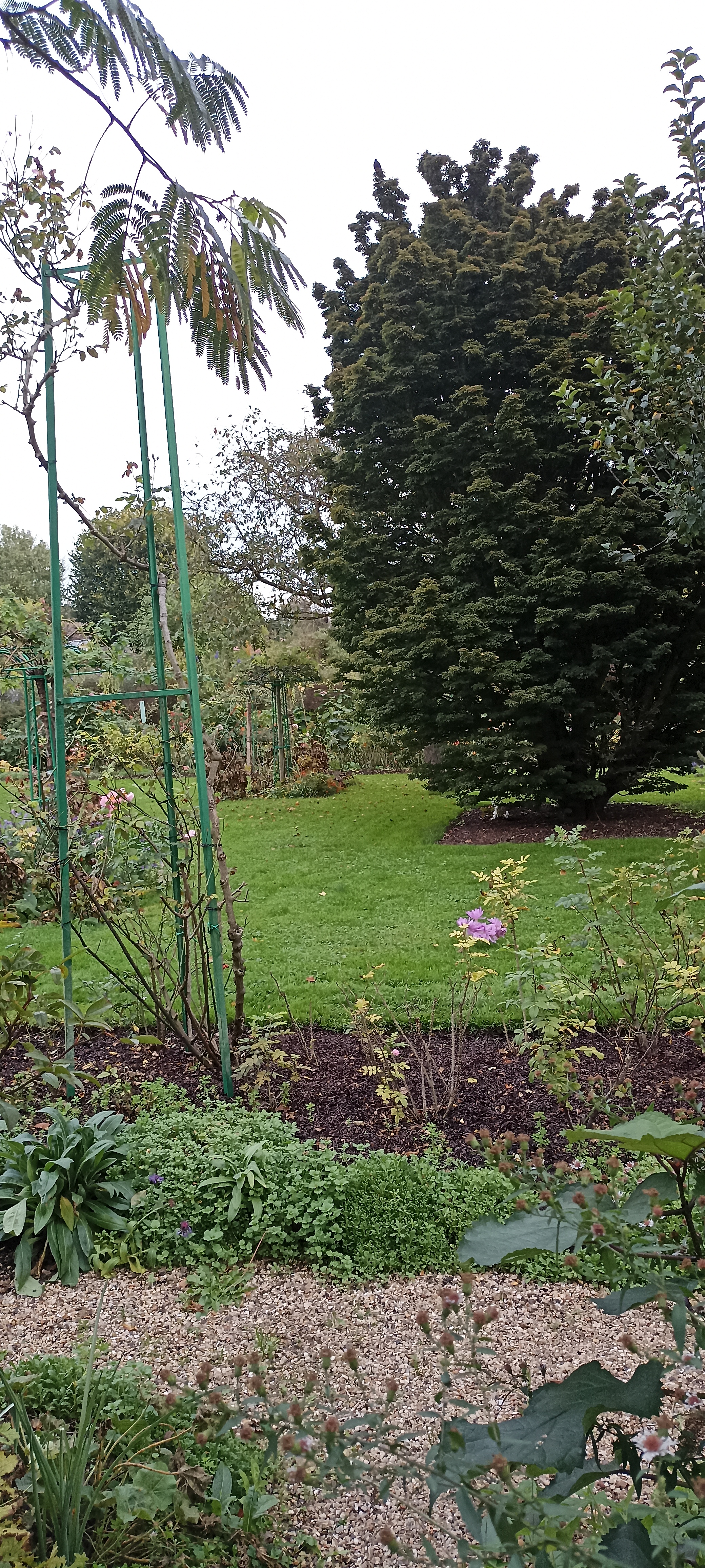 Photo n° 26 de l'avis de Verginia.H fait le 01/11/2022 à 18:08