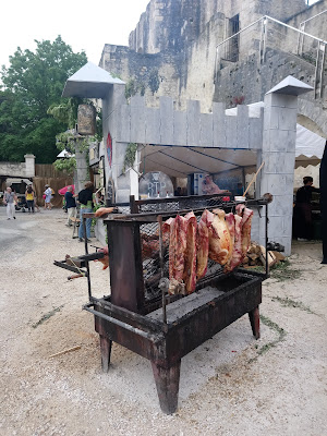 Remparts de Provins à Provins