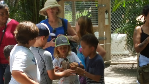 Animal Rescue Service «McCarthys Wildlife Sanctuary», reviews and photos, 12943 61st St N, West Palm Beach, FL 33412, USA