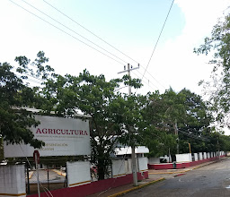 Subdelegación Estatal de la CONAPESCA en Yucatán photo