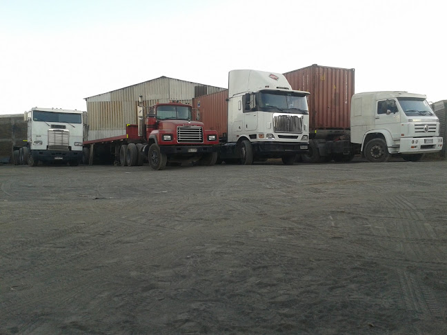 Soc De Transportes Alarcon Nunez Ltda