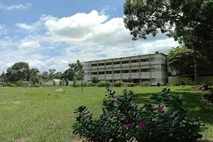 Nabinagar Government College image