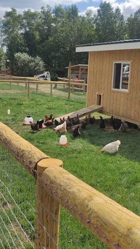 Golf Course «Knob Hill Golf Course», reviews and photos, 1 Shinnecock Dr, Manalapan Township, NJ 07726, USA