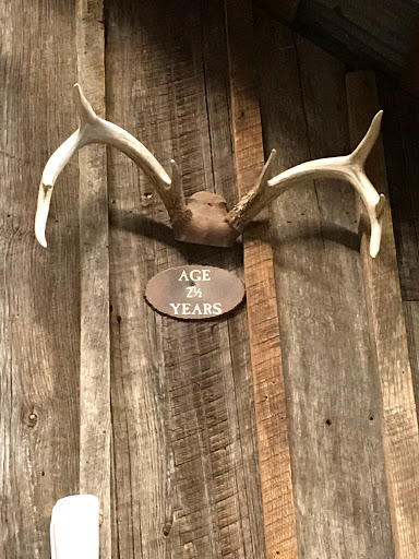 Sporting Goods Store «Bass Pro Shops», reviews and photos, 7000 Arundel Mills Cir, Hanover, MD 21076, USA