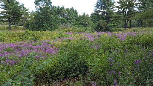 Golf Club «Sable Oaks Golf Club», reviews and photos, 505 Country Club Dr, South Portland, ME 04106, USA