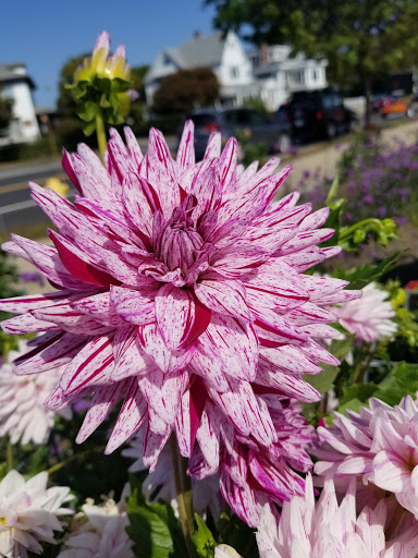 Maritime Museum «Maritime Gloucester», reviews and photos, 23 Harbor Loop, Gloucester, MA 01930, USA