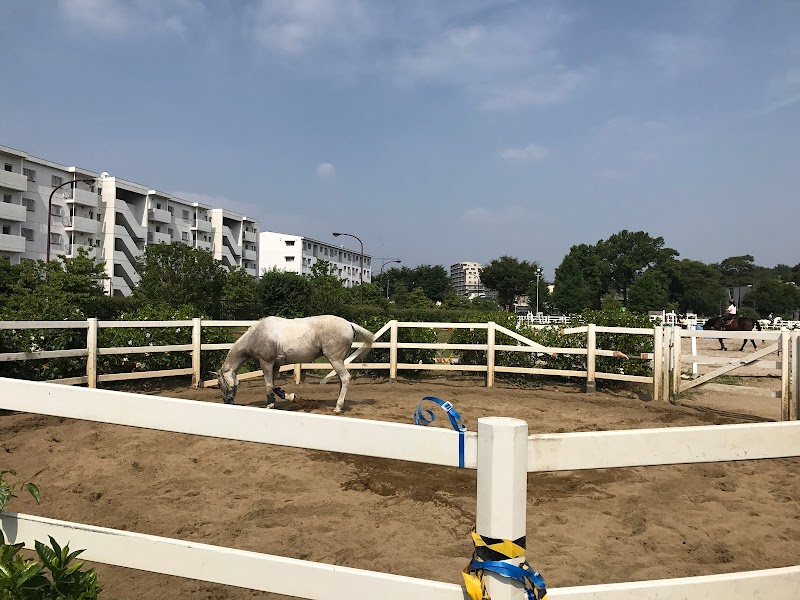 TUAT Fuchu Horse riding court