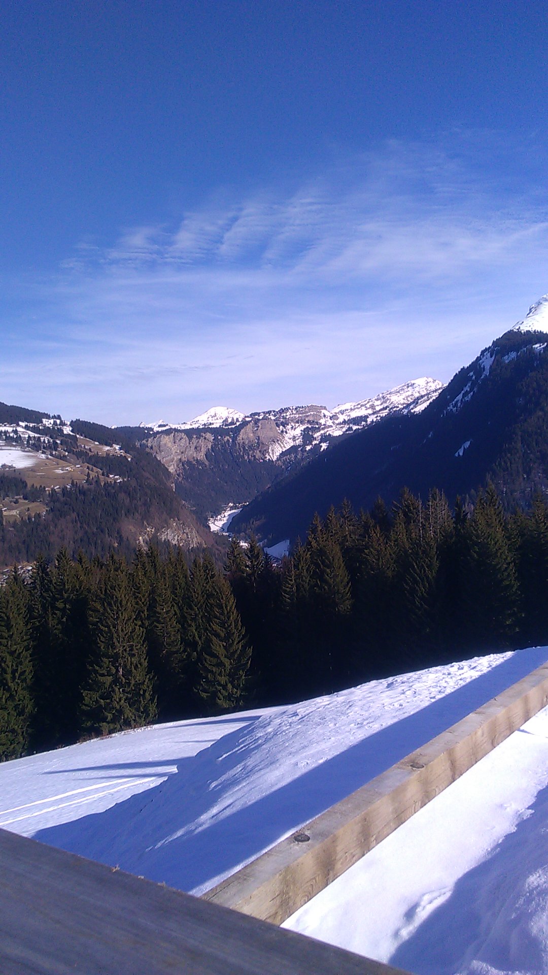 Photo n° 1 de l'avis de sansas.t fait le 08/02/2020 à 12:43