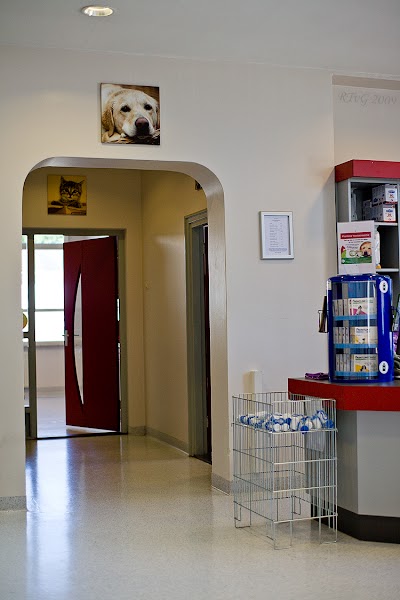 veterinary-care