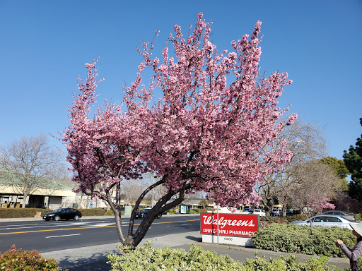 Drug Store «Walgreens», reviews and photos, 15500 Washington Ave, San Leandro, CA 94579, USA