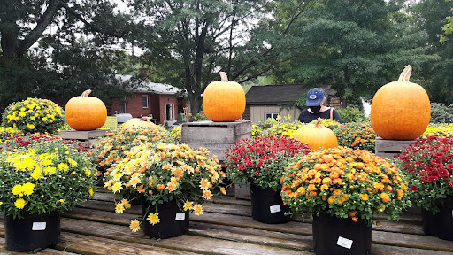 Garden Center «Nalls Produce», reviews and photos, 7310 Beulah St, Alexandria, VA 22315, USA