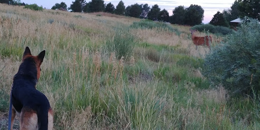 Park «Cherry Creek Valley Ecological Park», reviews and photos, 7500 S Jasper Ct, Centennial, CO 80112, USA