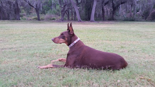 Park «Kapok Park», reviews and photos, 2950 Glen Oak Ave N, Clearwater, FL 33759, USA