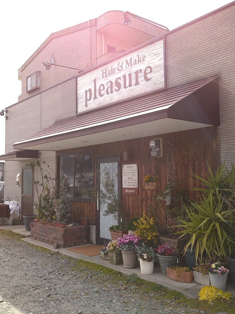 pleasure (プレジャー)