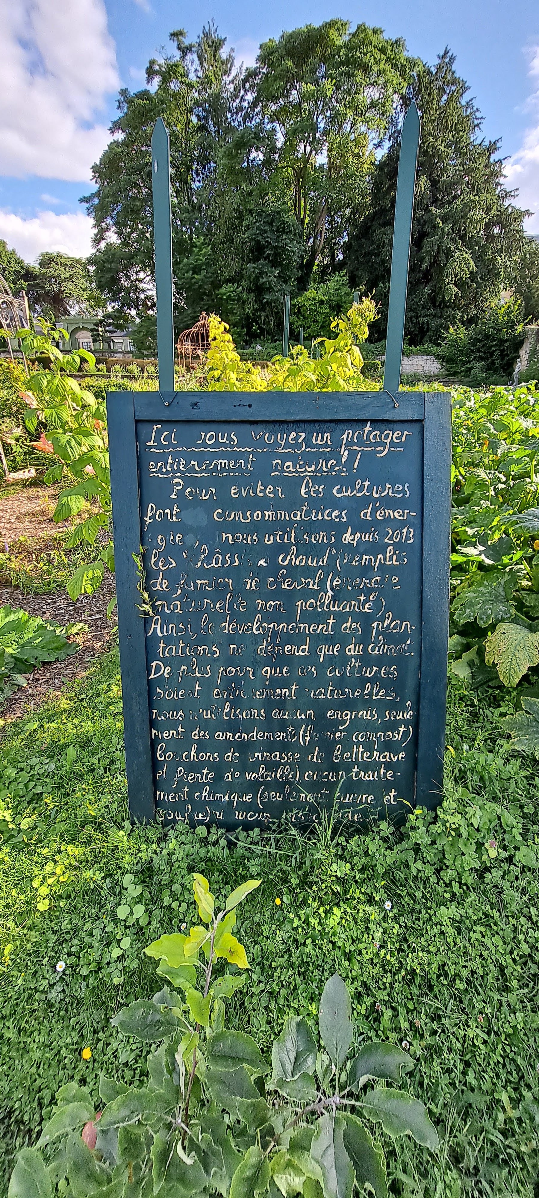 Photo n° 6 de l'avis de Elody.a fait le 17/08/2021 à 18:52