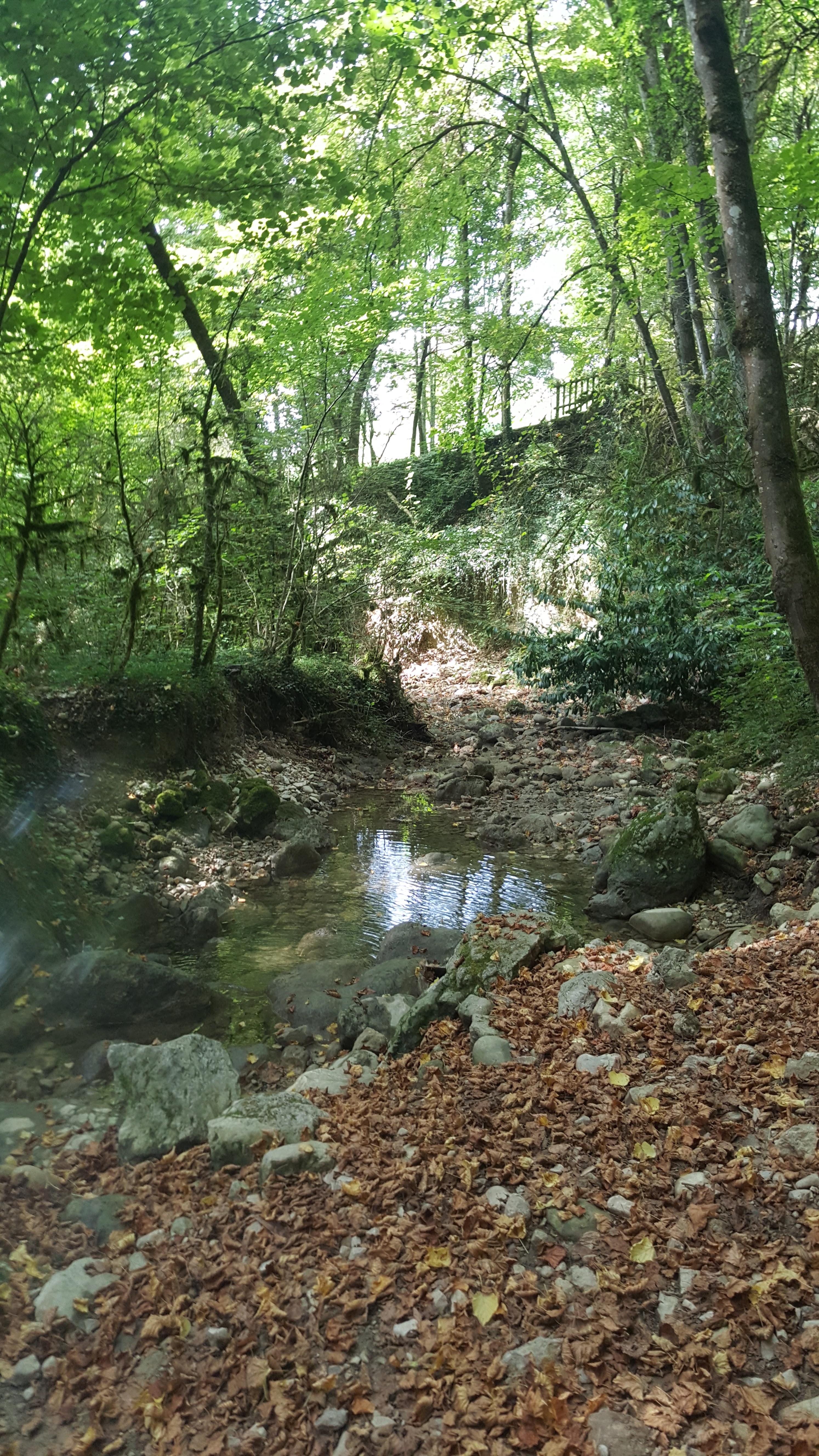 Photo n° 34 de l'avis de Vivi.o fait le 10/09/2018 à 07:44