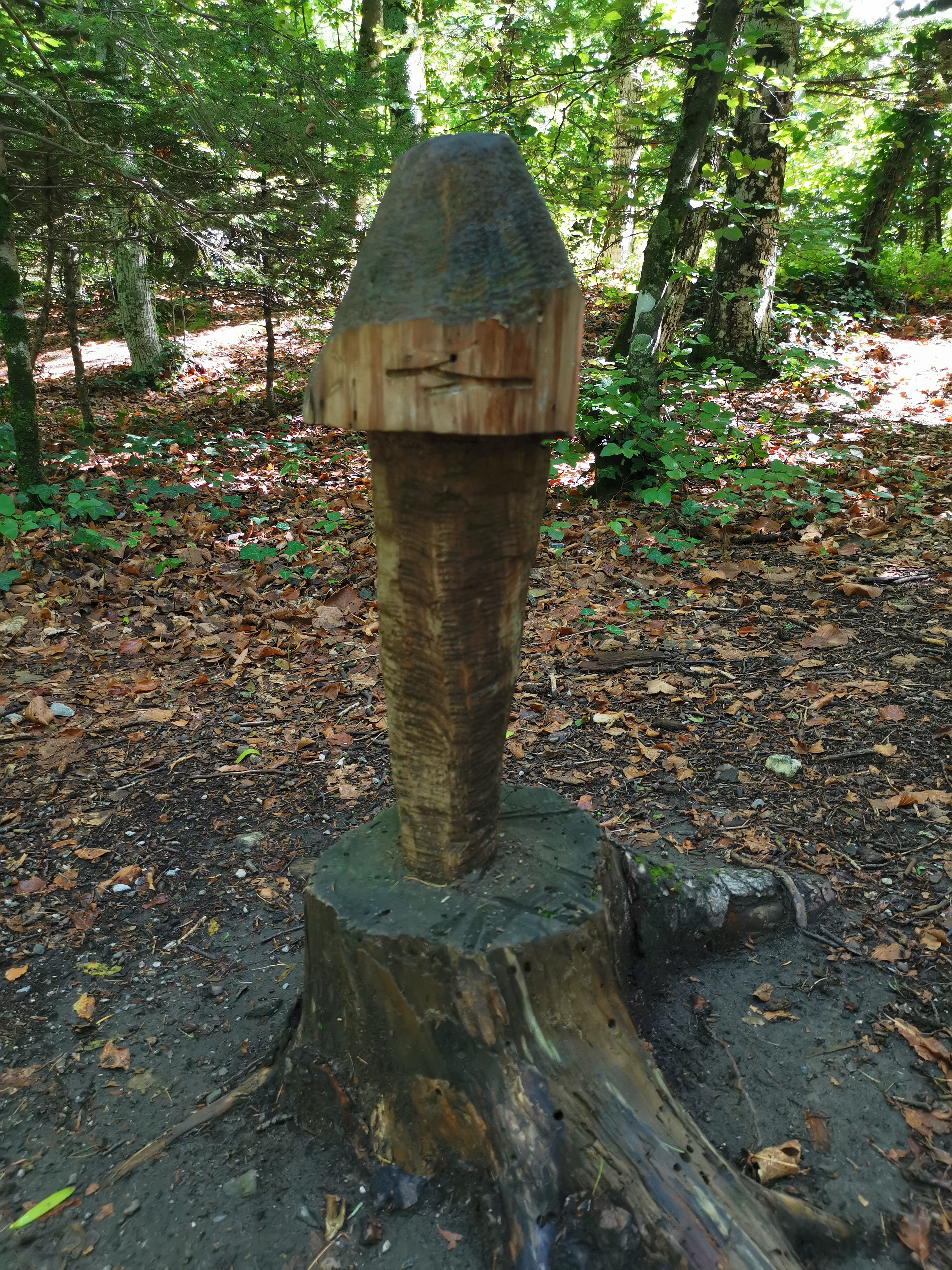Photo n° 23 de l'avis de Hans.a fait le 31/08/2020 à 17:36