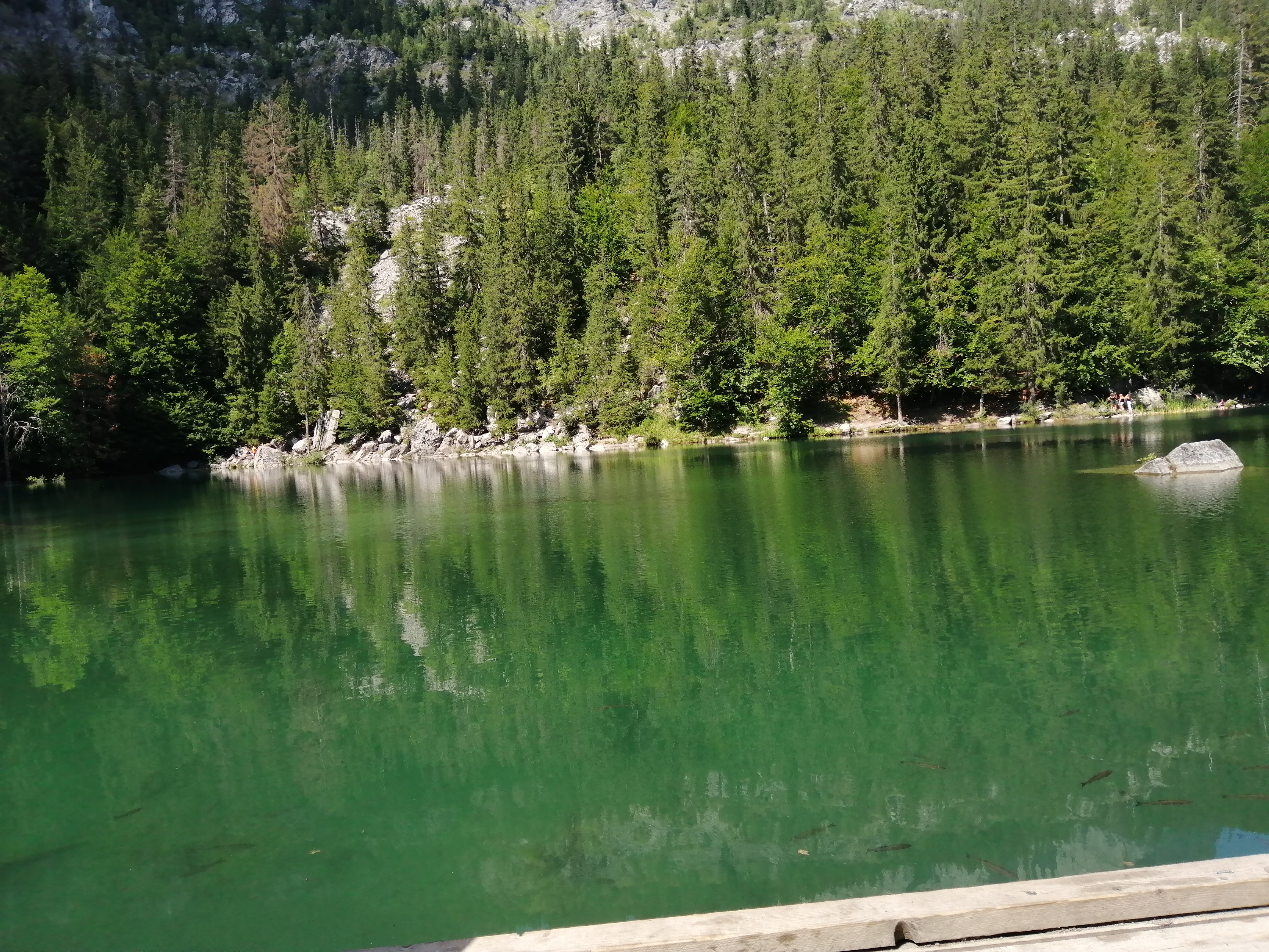 Photo n° 2 de l'avis de Guillaume. fait le 08/08/2022 à 14:50