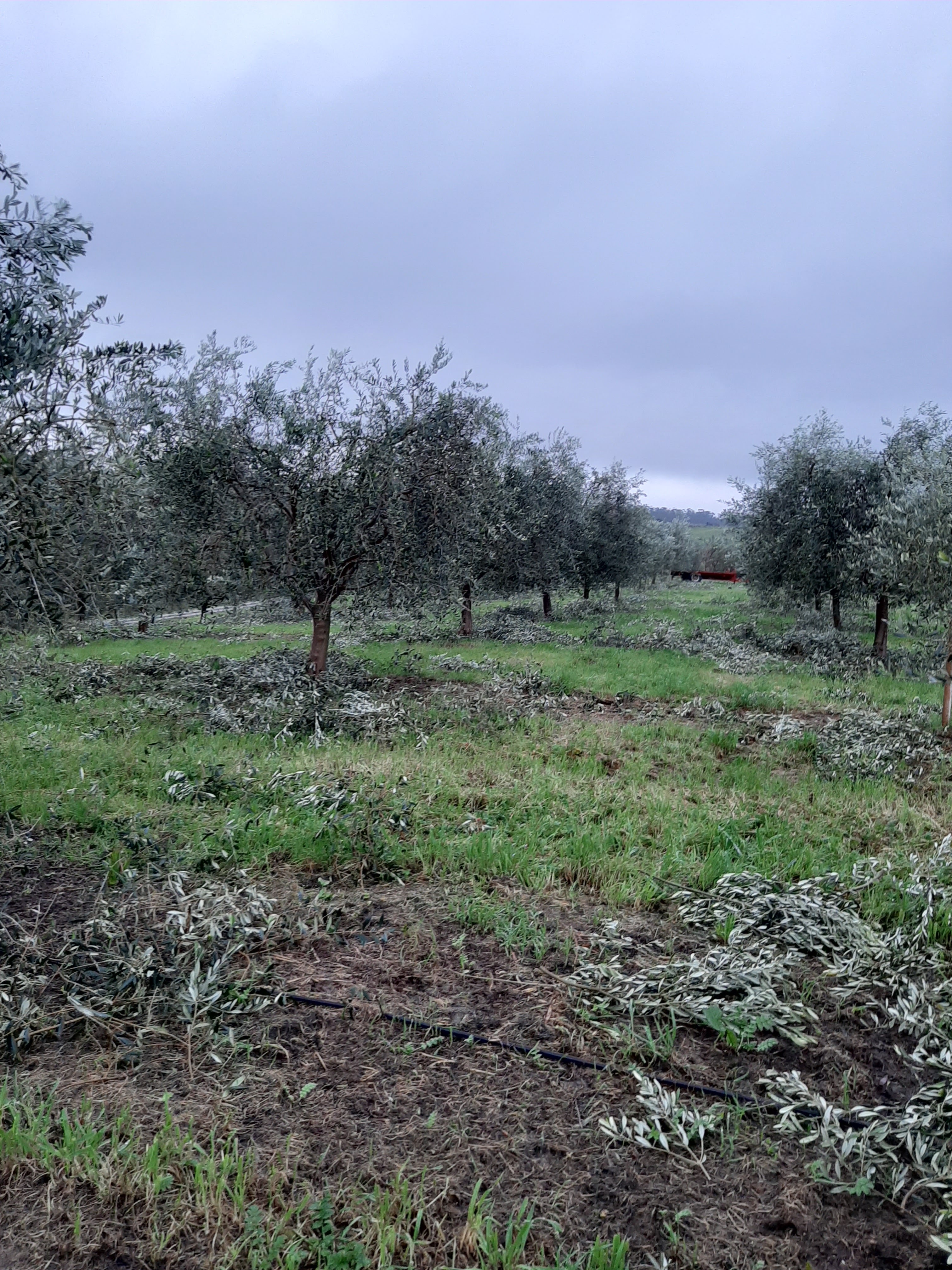 Photo n° 1 de l'avis de Astrit.a fait le 14/02/2020 à 15:27