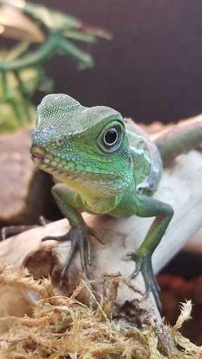 Pet Supply Store «PetSmart», reviews and photos, 89 Commercial Rd, Leominster, MA 01453, USA