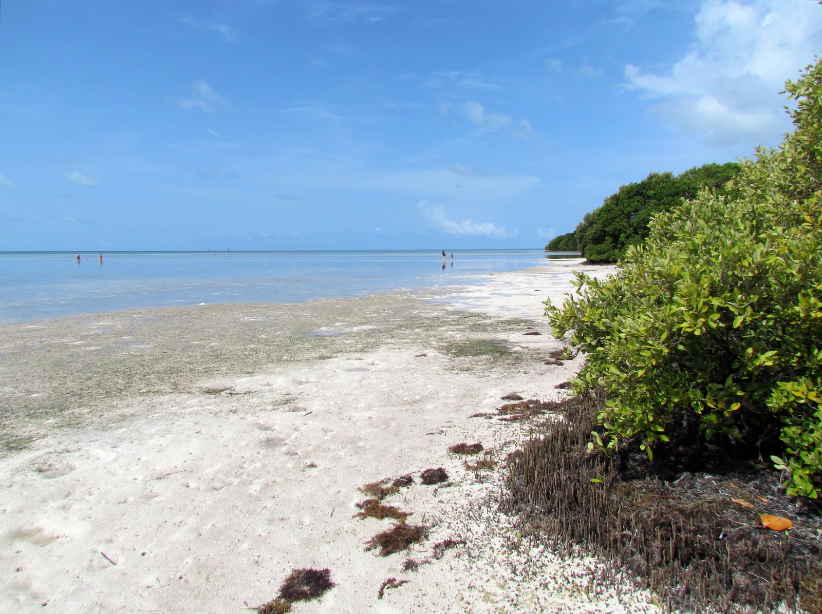 Anne's beach的照片 带有碧绿色水表面