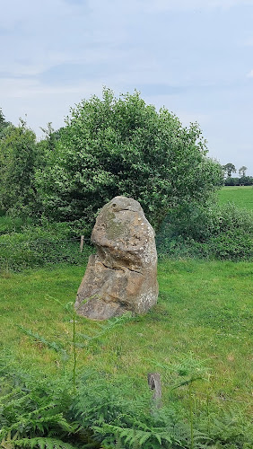 Menhir de la Boussardière à Montaudin
