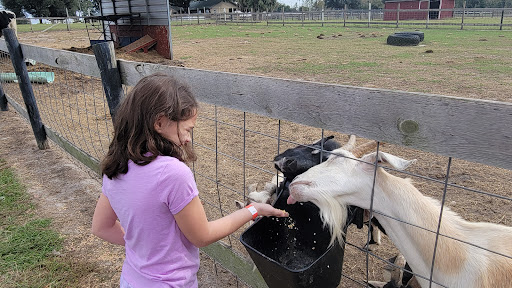 Zoo «Petting zoo Ocala», reviews and photos, 11150 FL-40, Ocala, FL 34482, USA