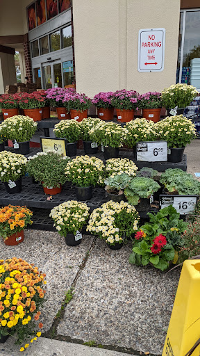 Grocery Store «ACME Markets», reviews and photos, 829 Montgomery Ave, Penn Valley, PA 19072, USA