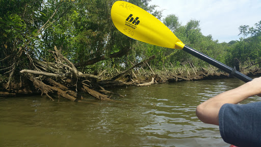Tourist Attraction «Mallows Bay», reviews and photos, 1440 Wilson Landing Rd, Nanjemoy, MD 20662, USA