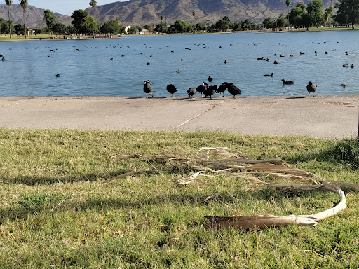 Park «Cesar Chavez Park», reviews and photos, 7858 S 35th Ave, Laveen Village, AZ 85339, USA