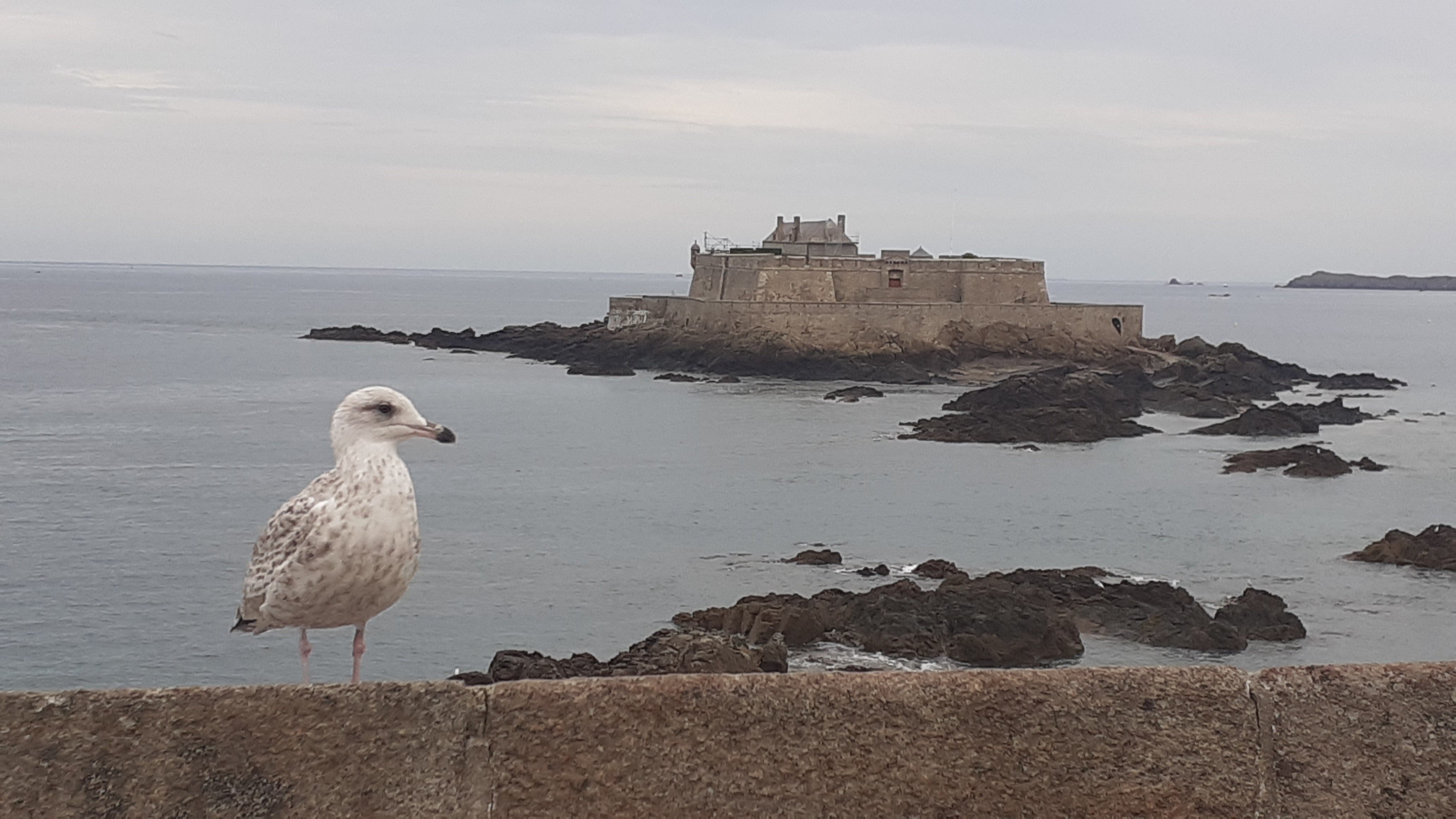 Photo n° 22 de l'avis de Nath.h fait le 14/09/2022 à 10:03