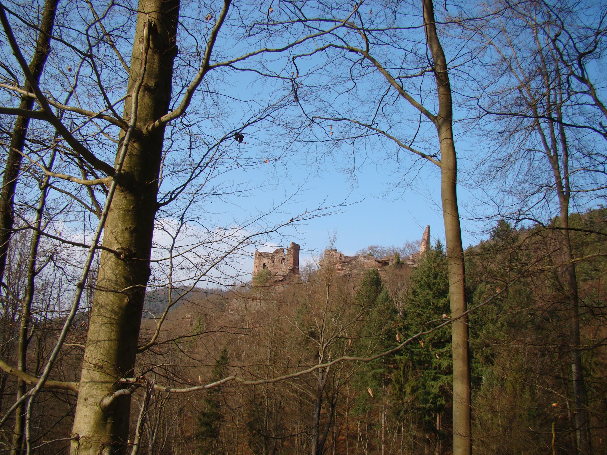 Photo n° 5 de l'avis de 57manpower. fait le 29/09/2017 à 17:03