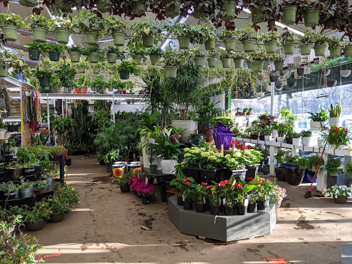 Florist «Metropolitan Plant & Flower», reviews and photos, 840 NJ-17, Paramus, NJ 07652, USA