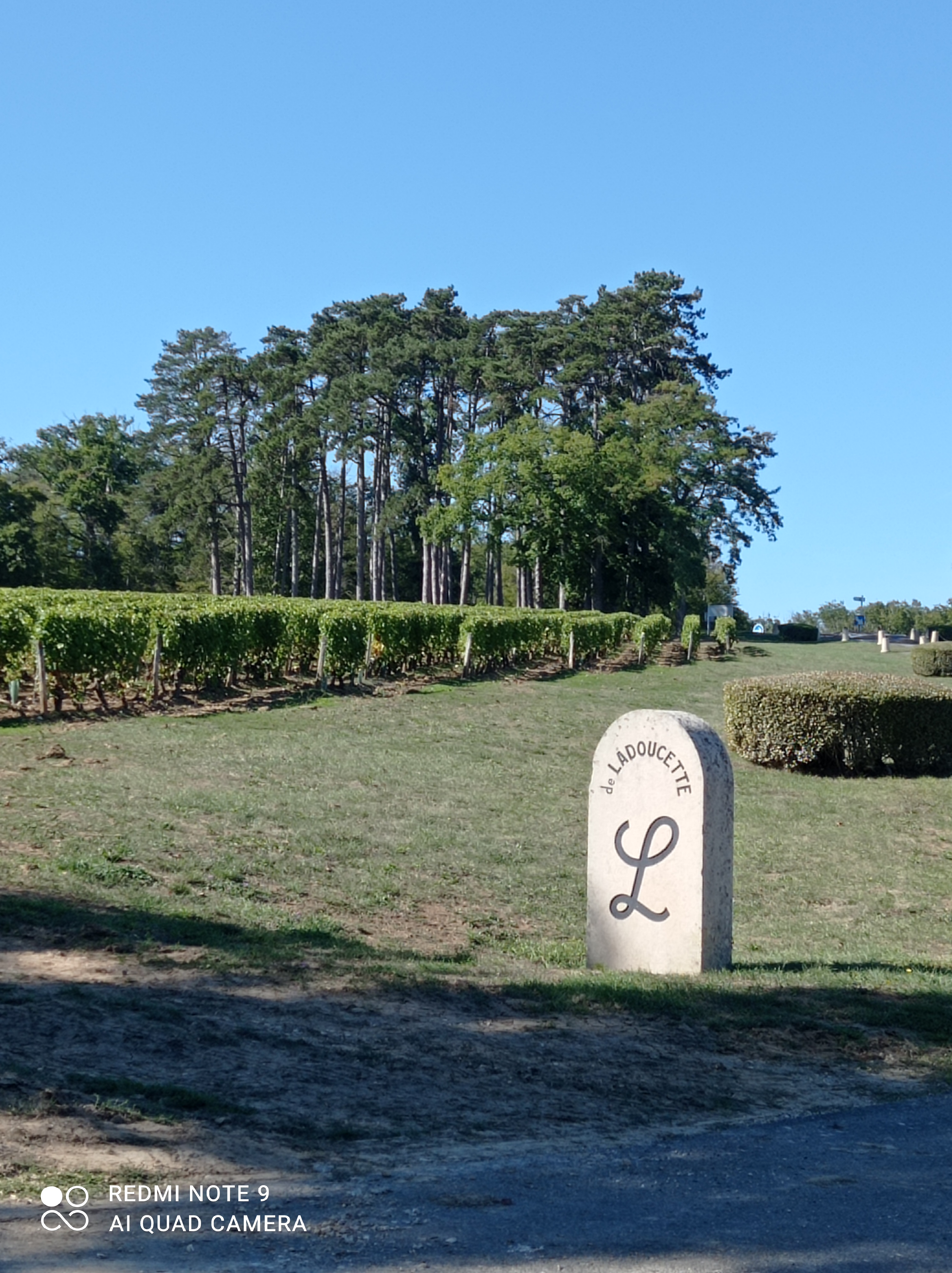 Photo n° 2 de l'avis de delphine.a fait le 22/09/2022 à 19:07