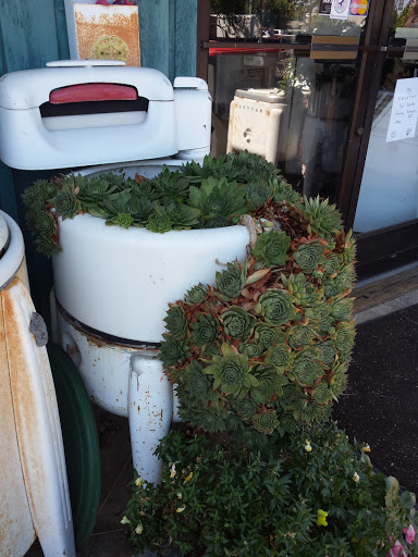 Thrift Store «Aftermath Thrift Store», reviews and photos, 615 NE Lafayette Ave, McMinnville, OR 97128, USA