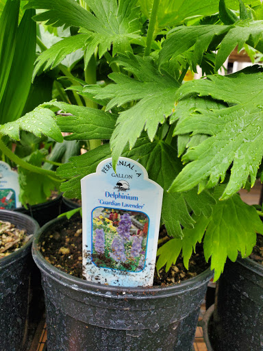 Hardware Store «Woodstock Hardware», reviews and photos, 4430 SE Woodstock Blvd, Portland, OR 97206, USA