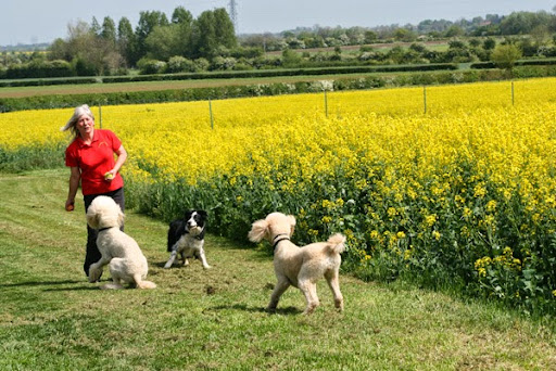 Belvoir Boarding Kennels Nottingham