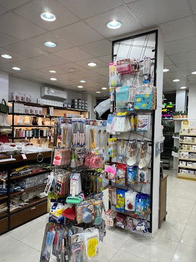 منظمات جوان