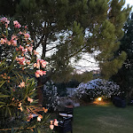 Photo n°3 de l'avis de Michele.i fait le 15/08/2020 à 06:35 sur le  CuCumiao à Palau