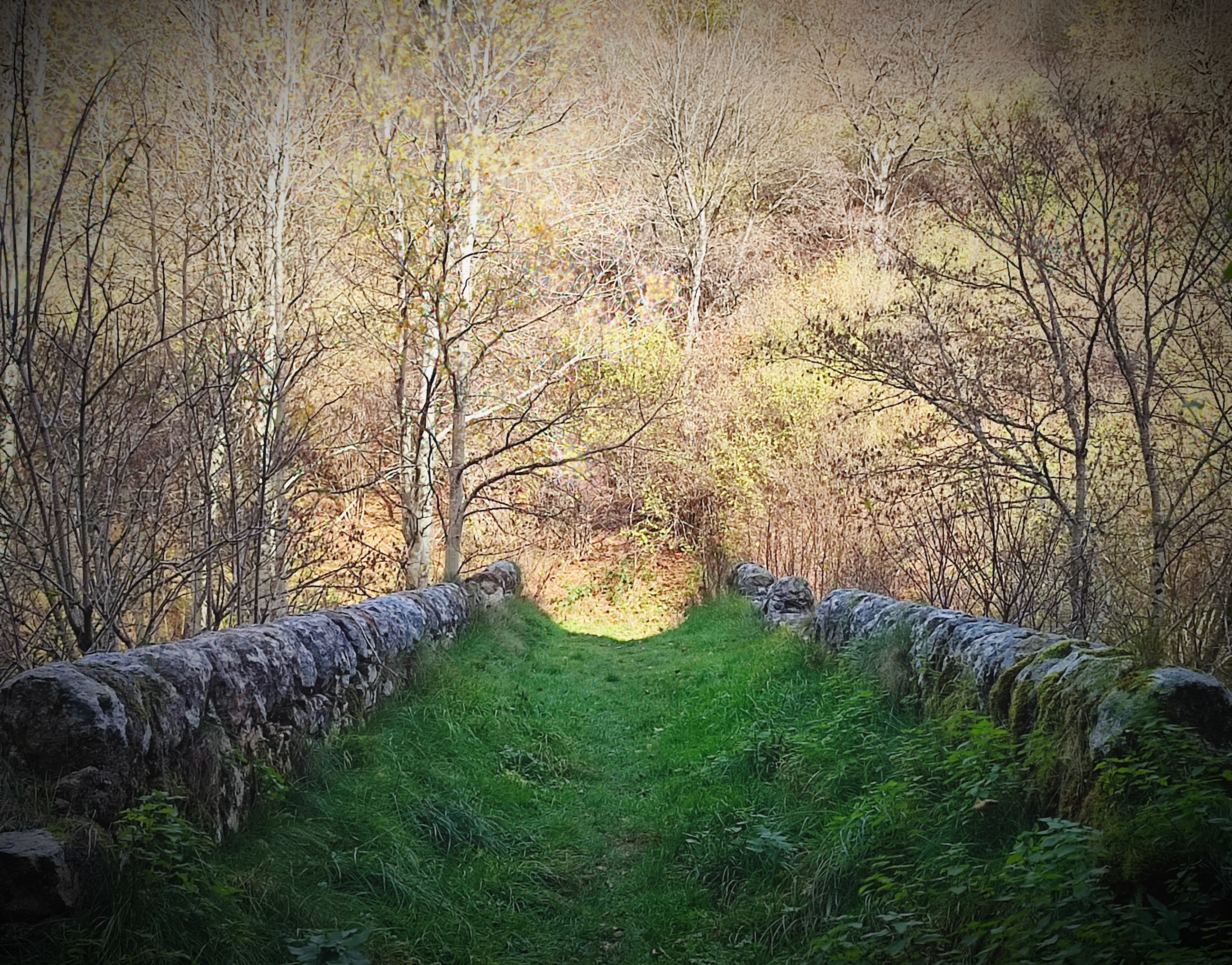 Photo n° 5 de l'avis de OlDav.r fait le 02/11/2022 à 16:38