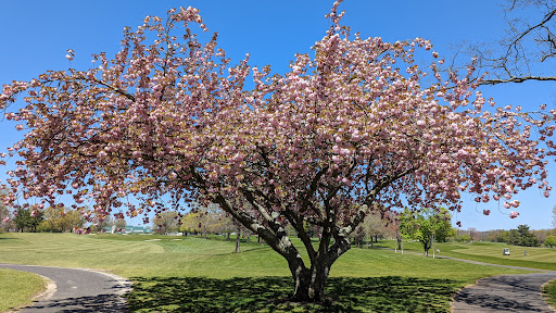 Golf Course «Hominy Hill Golf Course», reviews and photos, 92 Mercer Rd, Colts Neck, NJ 07722, USA