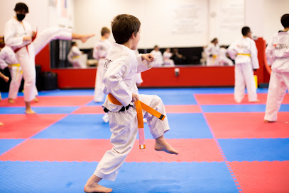 San Antonio Expert Taekwondo