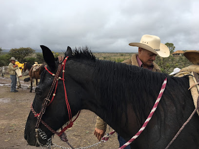 Xotolar Ranch Horseback Riding Offices