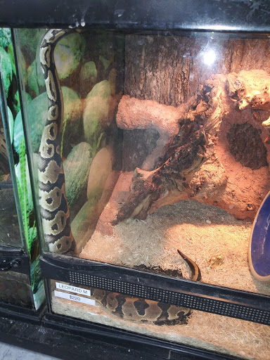 Pet Store «Leesburg Pet Center», reviews and photos, 959 N 14th St, Leesburg, FL 34748, USA