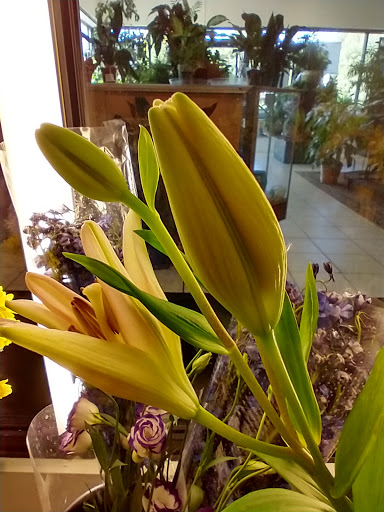 Florist «Grace Harper Florist, Inc.», reviews and photos, 4135 Woodward Ave, Detroit, MI 48201, USA